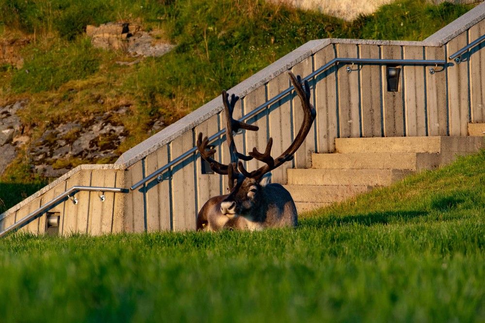 Photograph by Ованес Агарян