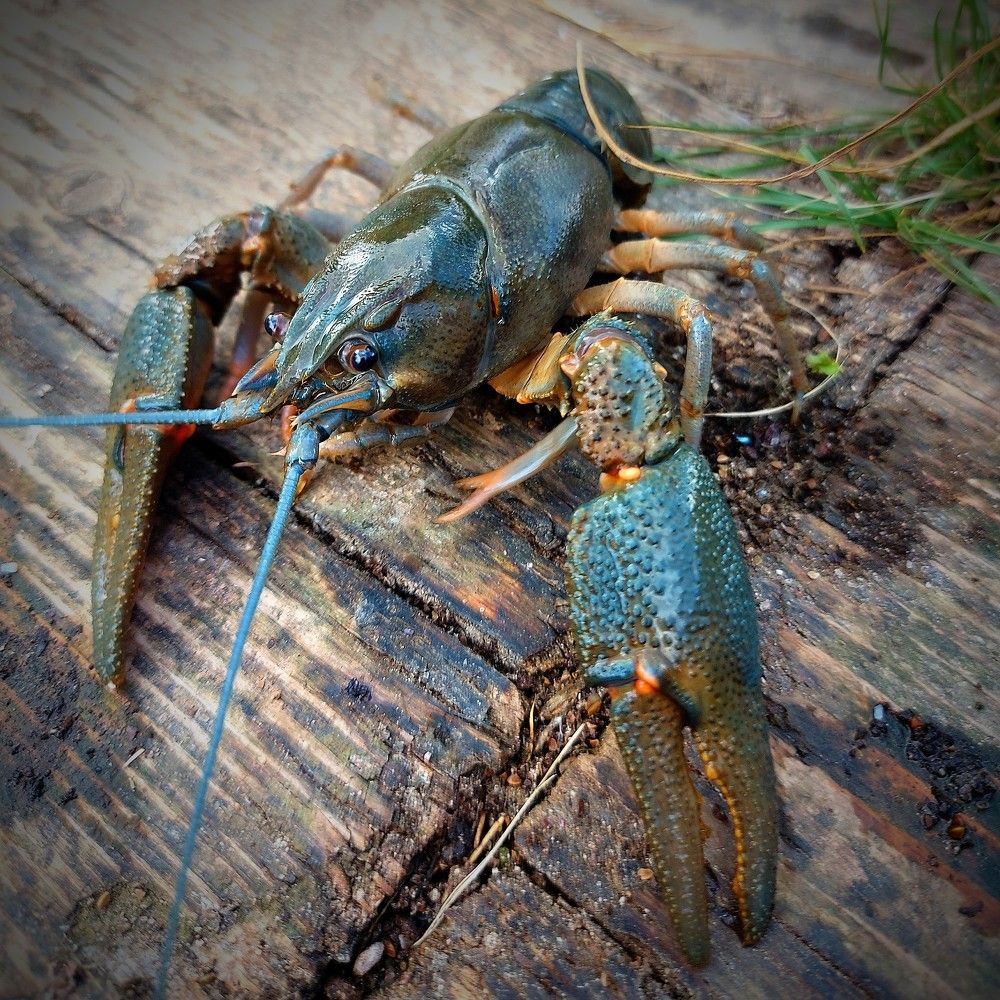 Photograph by Slavcan Vinnikov