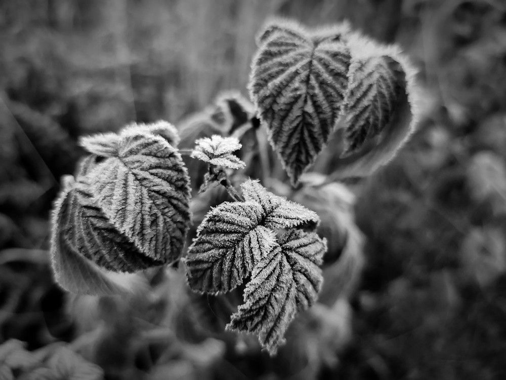 Photograph by Slavcan Vinnikov