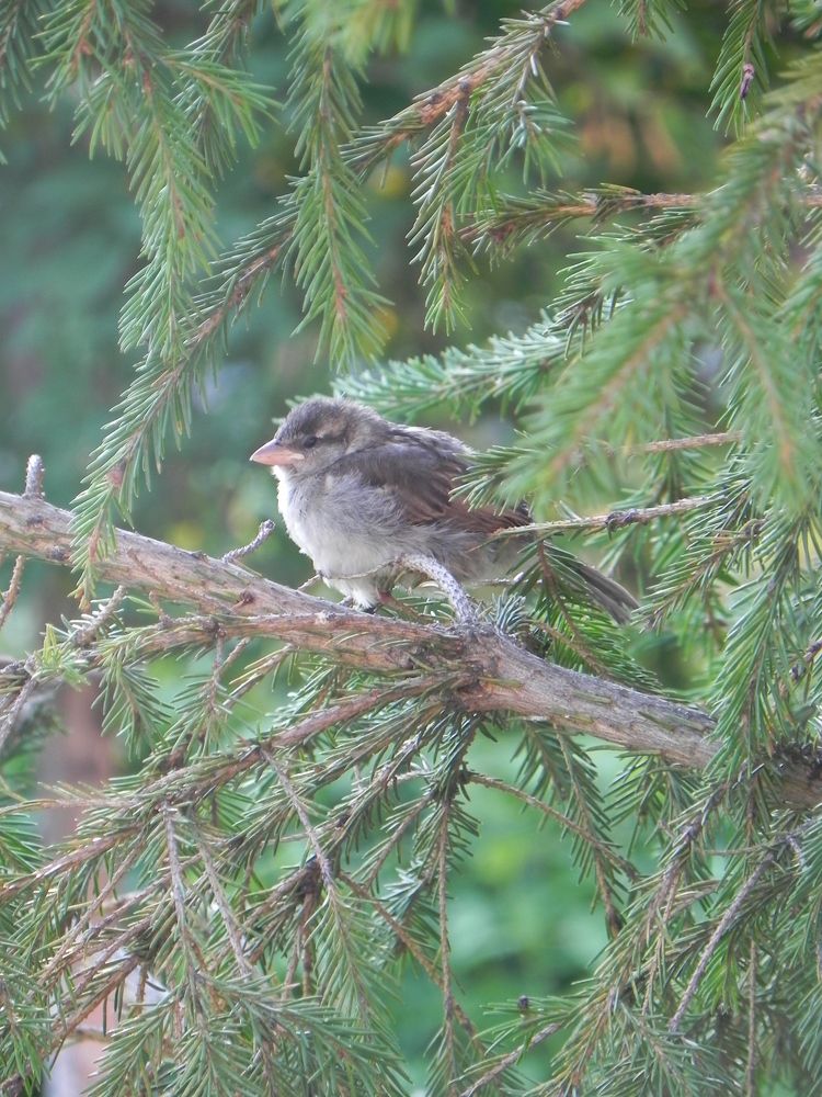 Photograph by Кристина Лакс