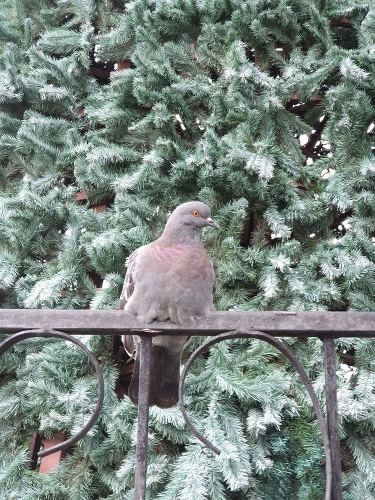 Photograph by Кристина Лакс