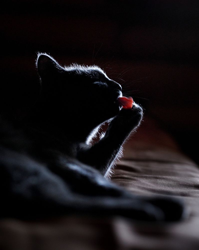 Photograph by Ольга Мартынова