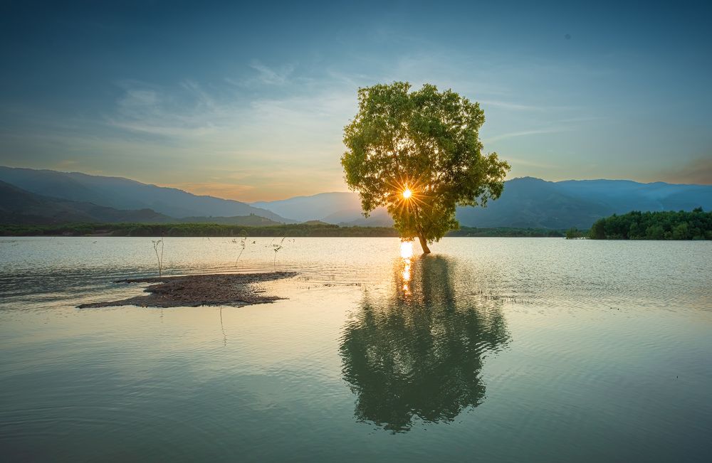 Photograph by Hanh P. T. Pham