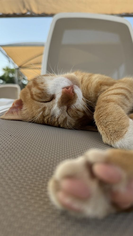 Photograph by Mariia Voloshina