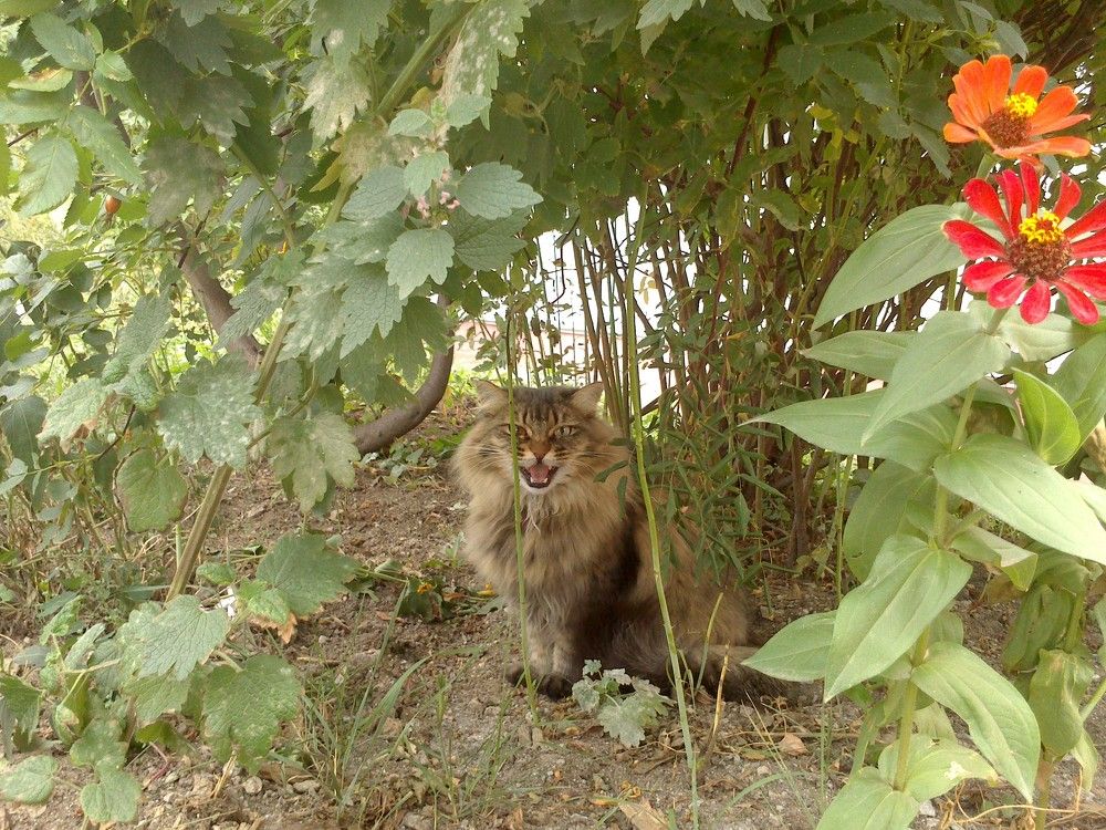 Photograph by Кристина Лакс