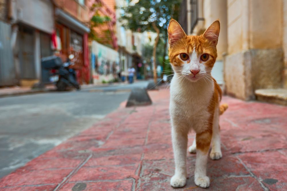 Photograph by Владислав Данилов