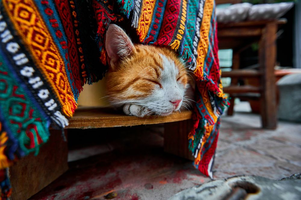 Photograph by Владислав Данилов