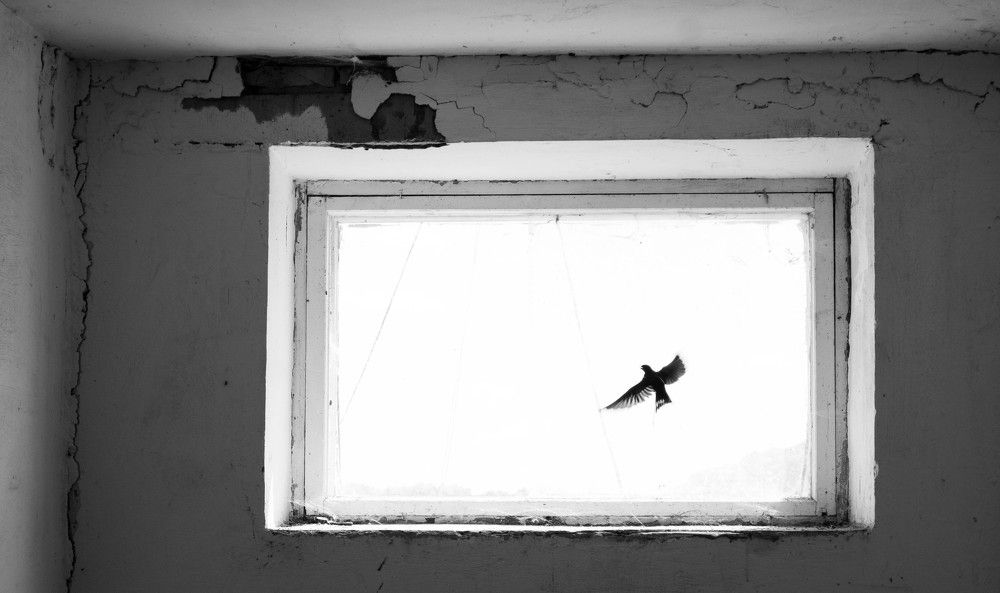 Photograph by Yulia Salnikova