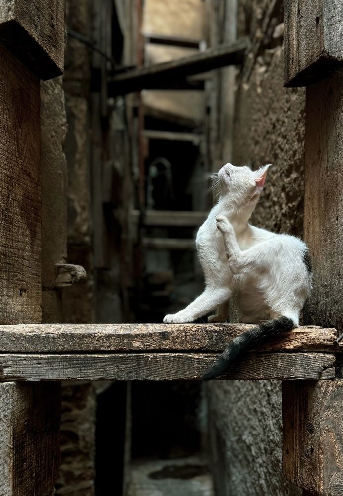 Photograph by Ирина Сатырь