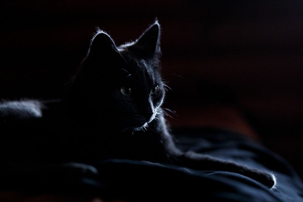 Photograph by Ольга Мартынова