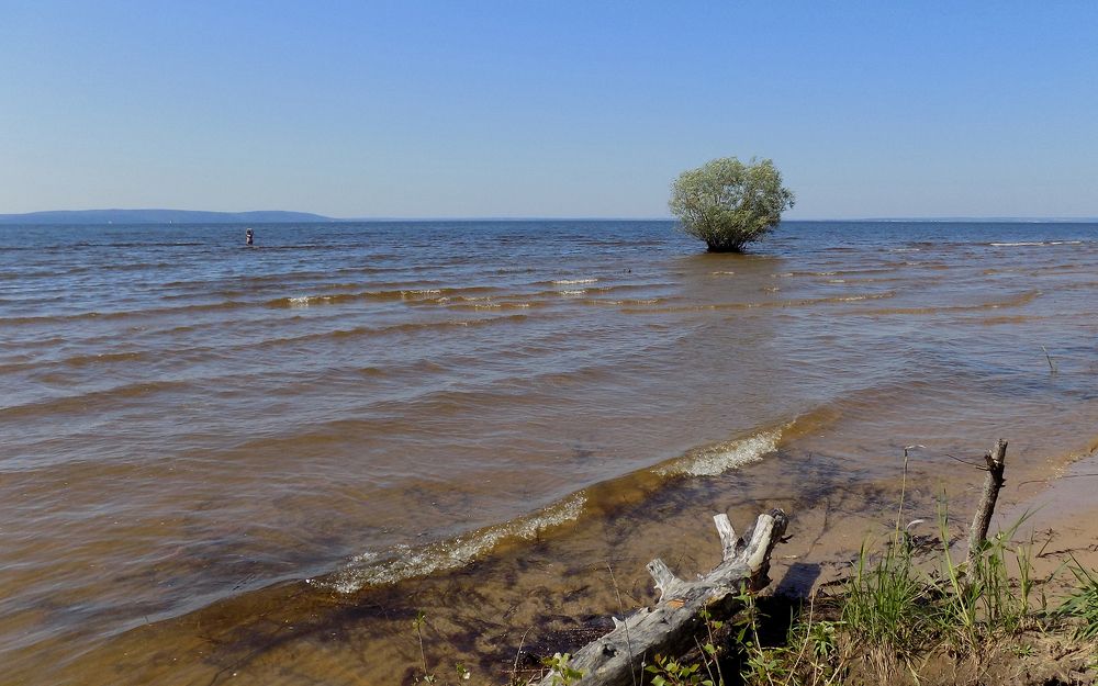 Photograph by Сергей Рудаков