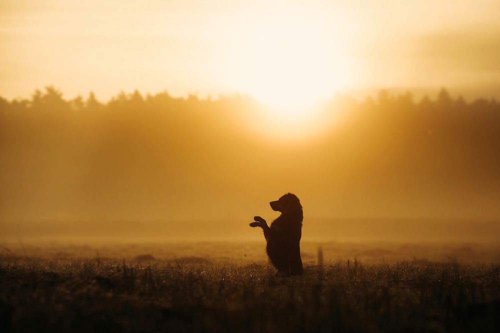 Photograph by Patrycja Dawid