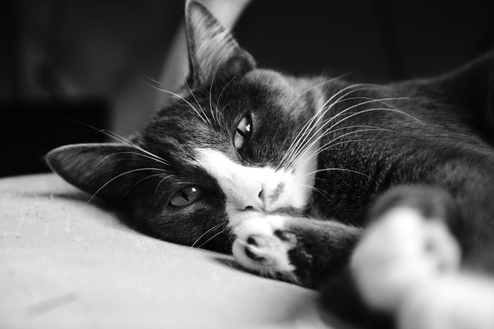 Photograph by Андрей Шелуков