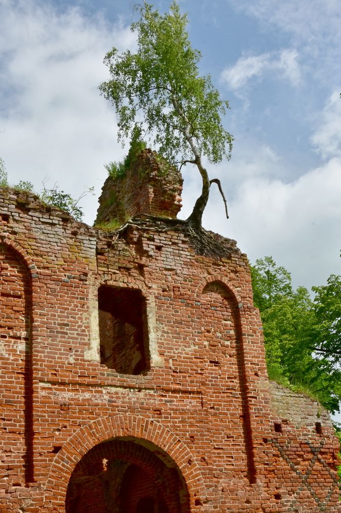 Photograph by Ирина Алексеева