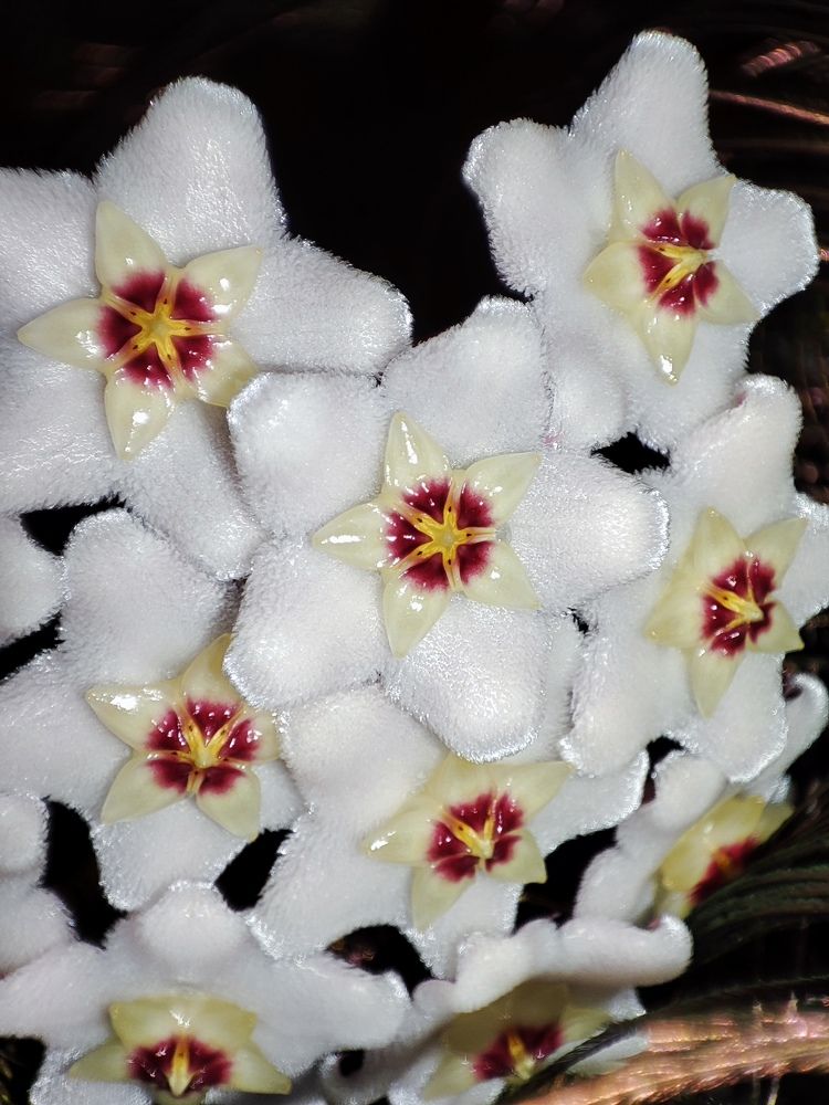 Photograph by Людмила Кузнецова