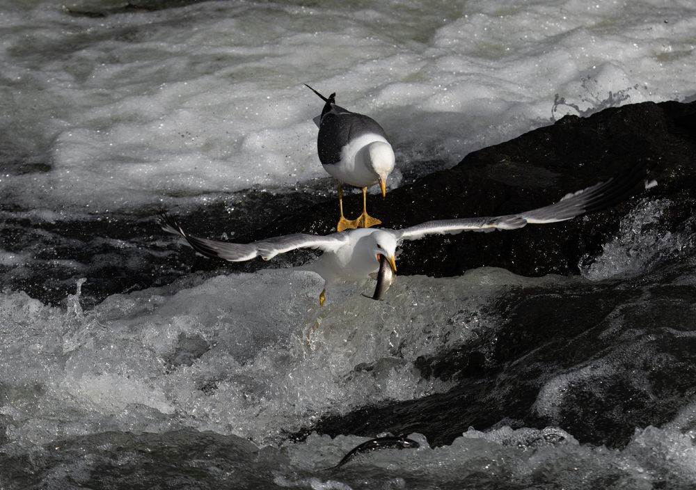 Photograph by Murat Doğan