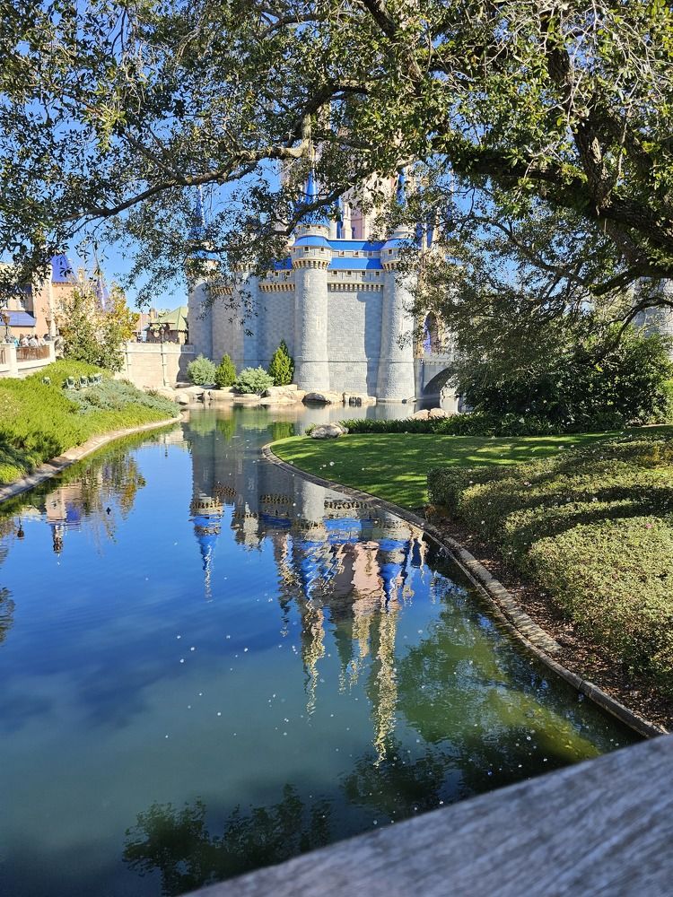 Encantador castillo de Cenicienta en Disney