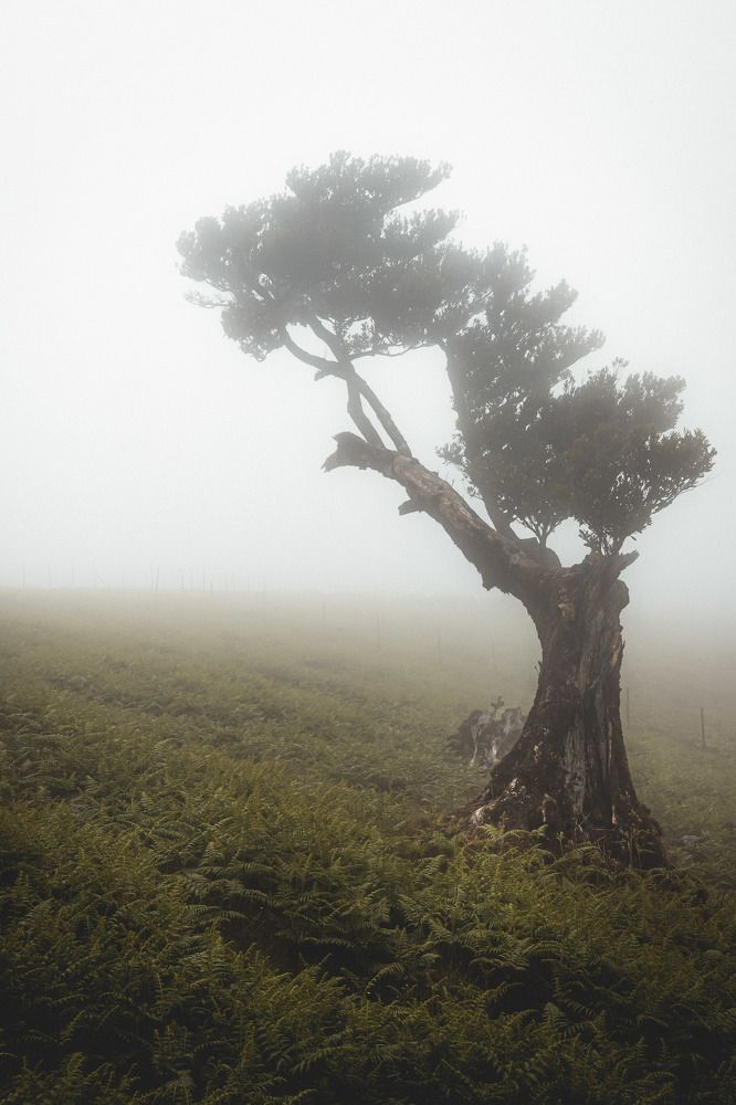 Фотография автора Konstantin Shendel