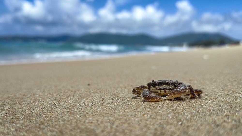 Photograph by Антон Дроздов