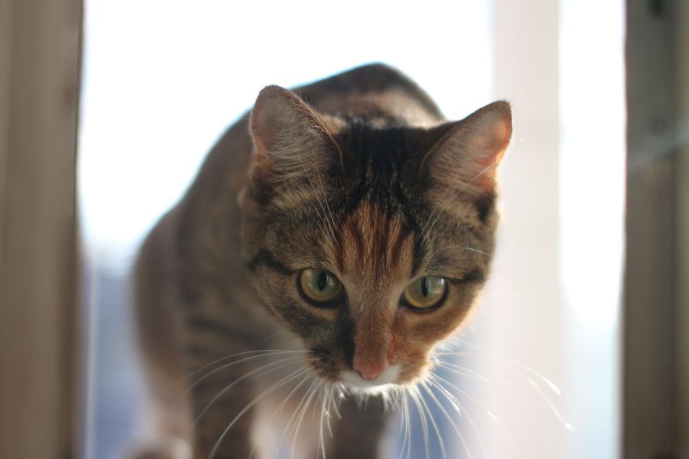 Photograph by Михаил Костыря