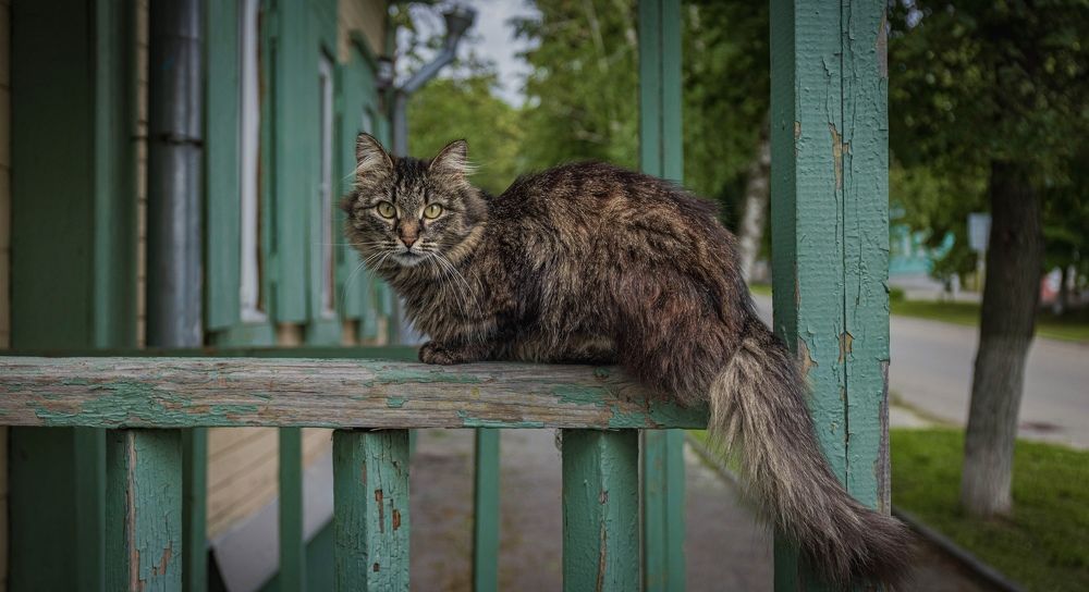 Photograph by Антон Дроздов