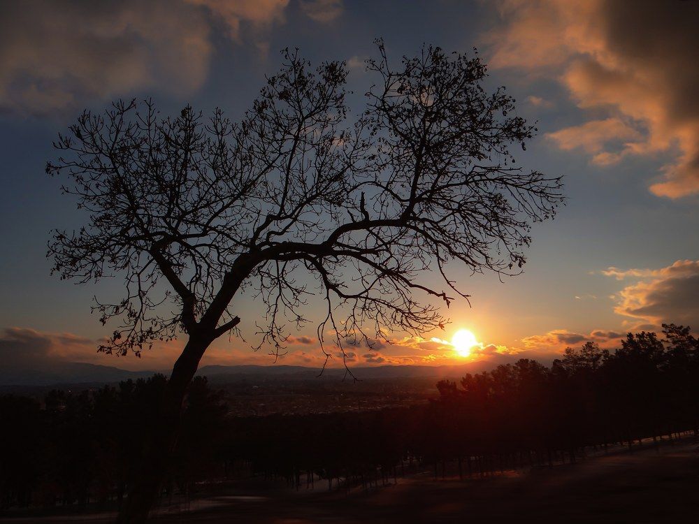 Фотография автора reza ahmadi