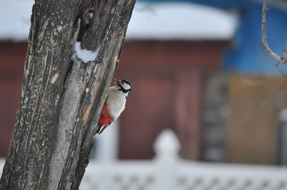 Photograph by Лариса Стрекулева