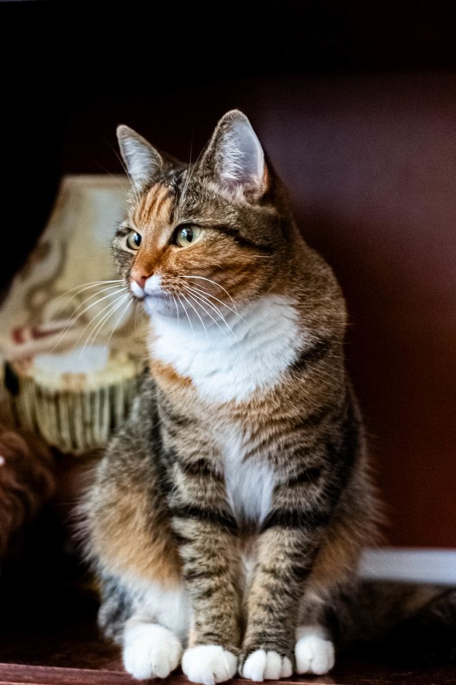 Photograph by Михаил Костыря