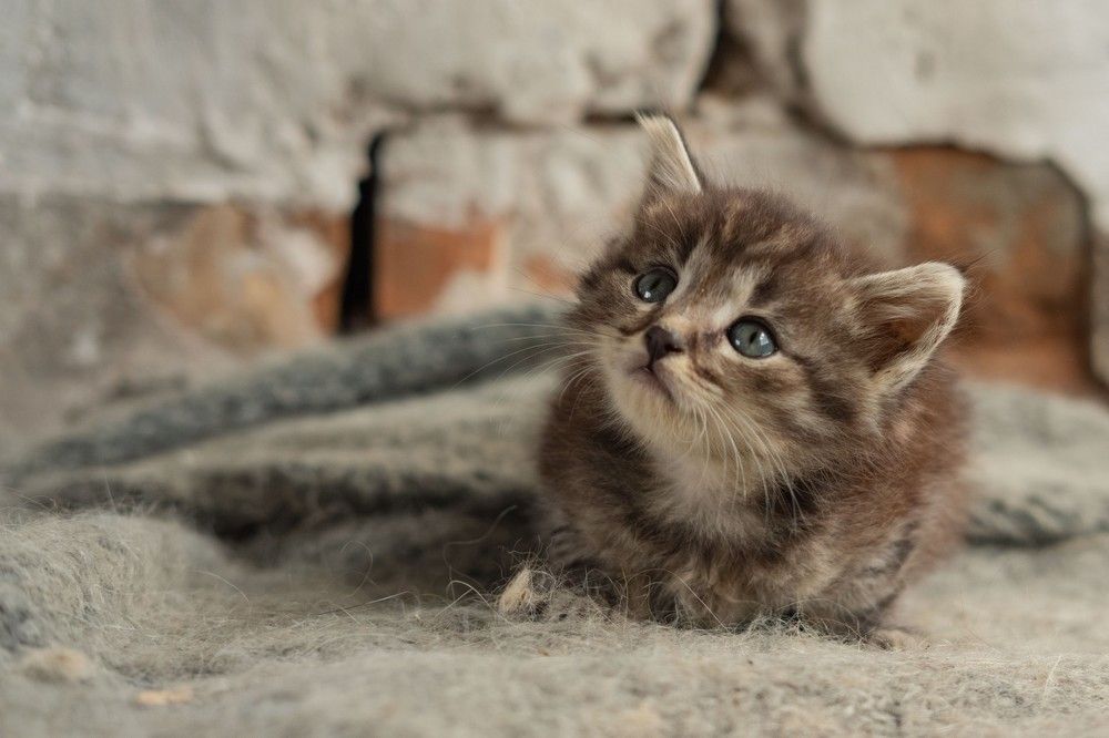 Photograph by Янина Найденцева