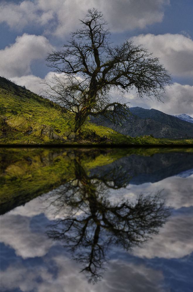 Фотография автора reza ahmadi