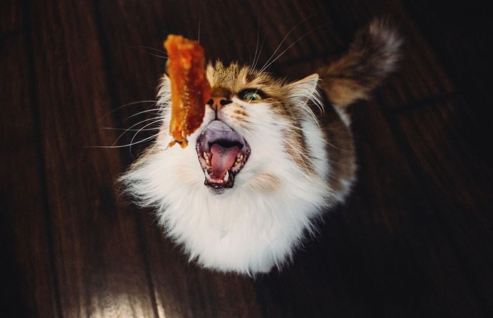 Photograph by Анастасия