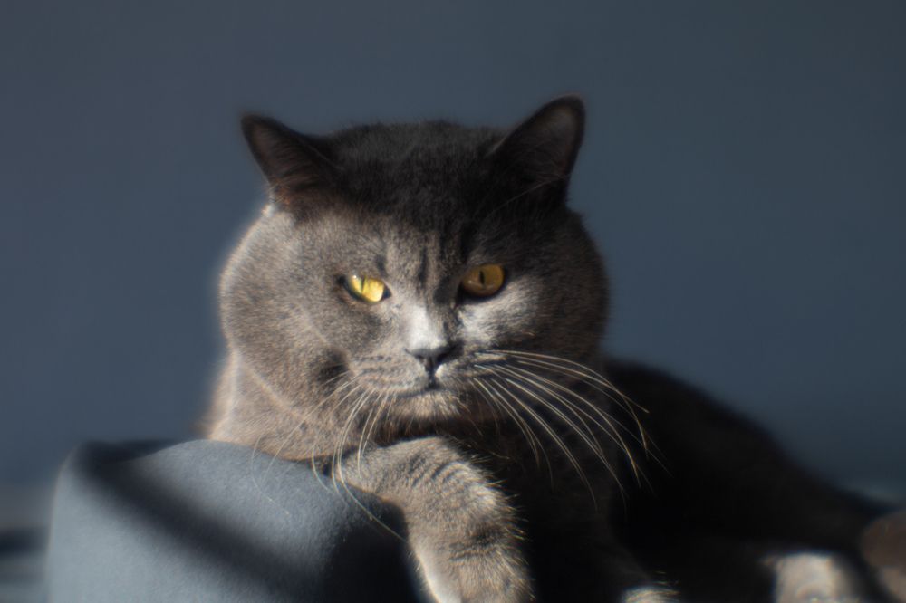 Photograph by Татьяна Овчинникова