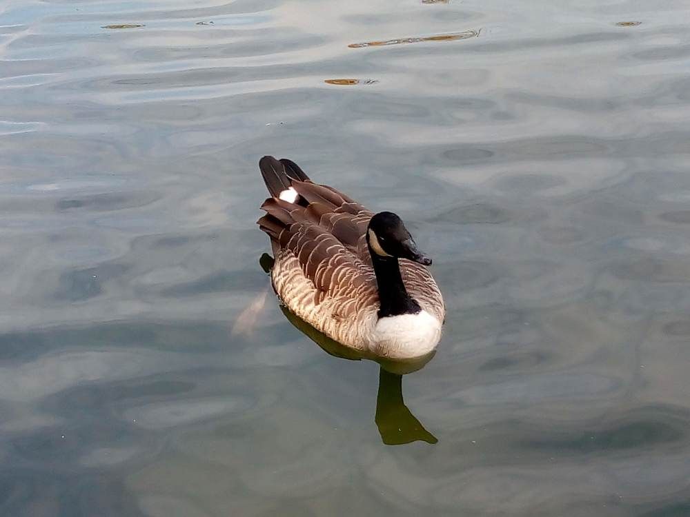 Photograph by Татьяна Пальчикова