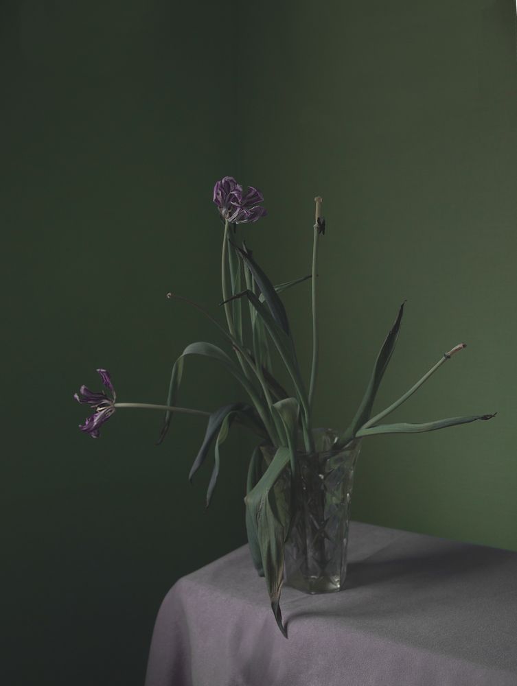 Photograph by Татьяна Овчинникова