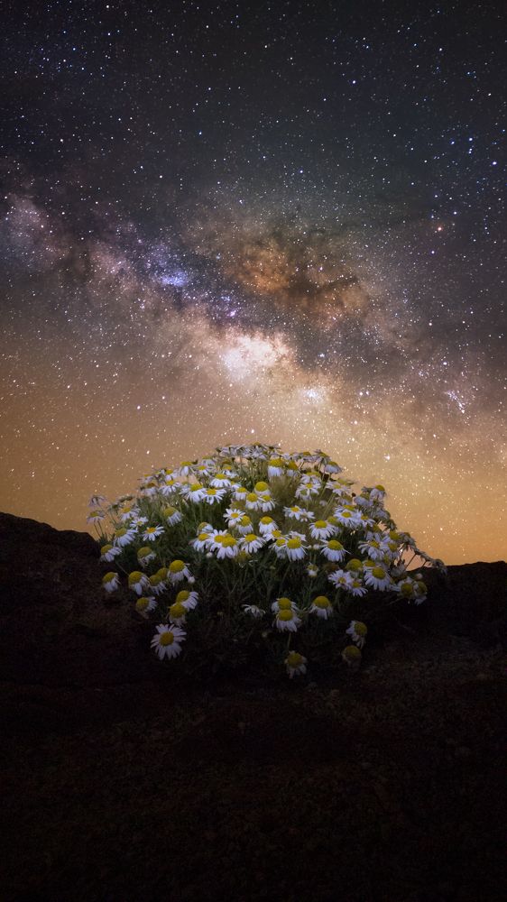 Photograph by Matteo Strassera