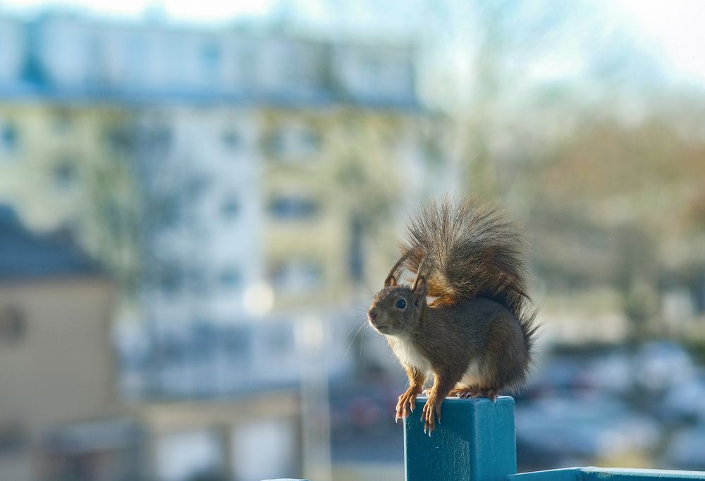 Фотография автора Mojtaba Chenari