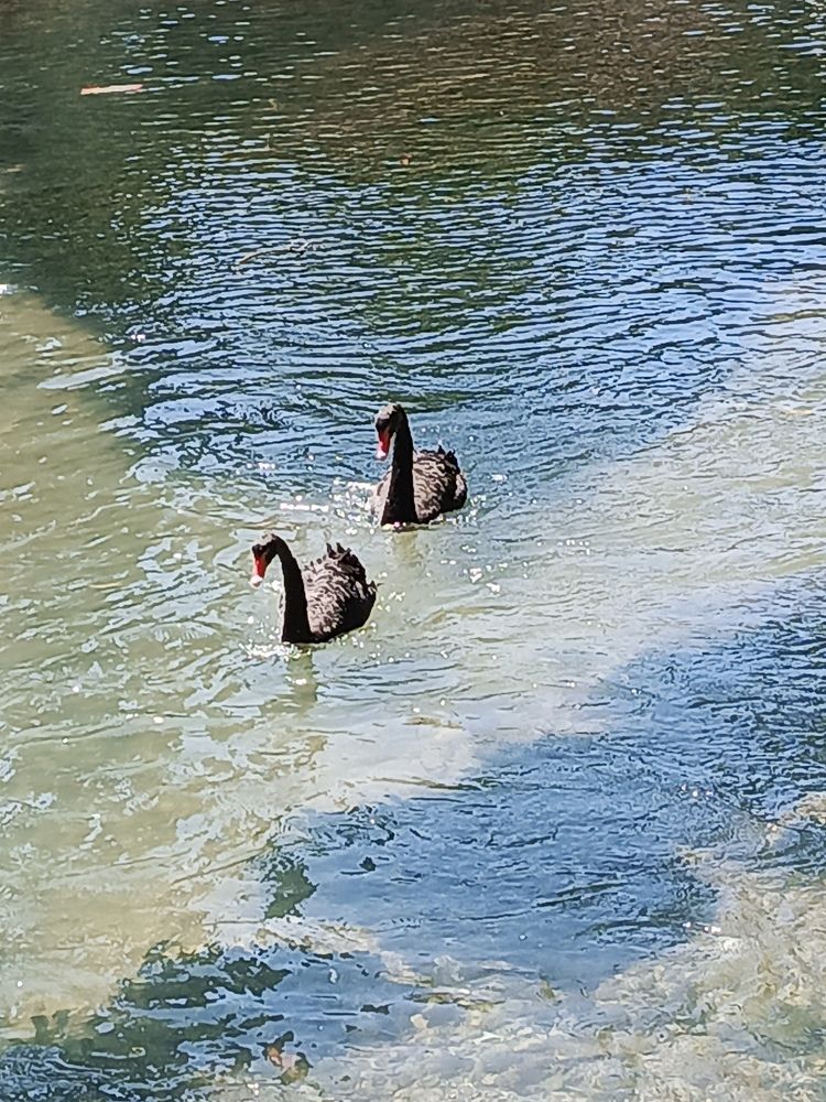 Photograph by Татьяна Пальчикова