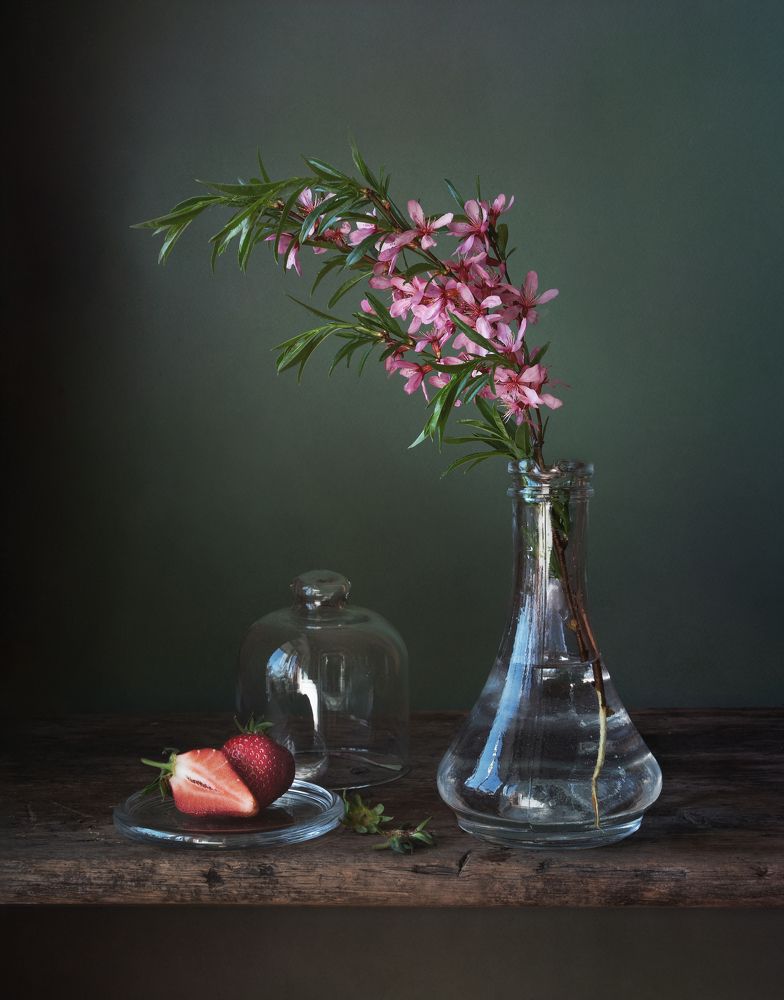 Photograph by Елена Виноградова