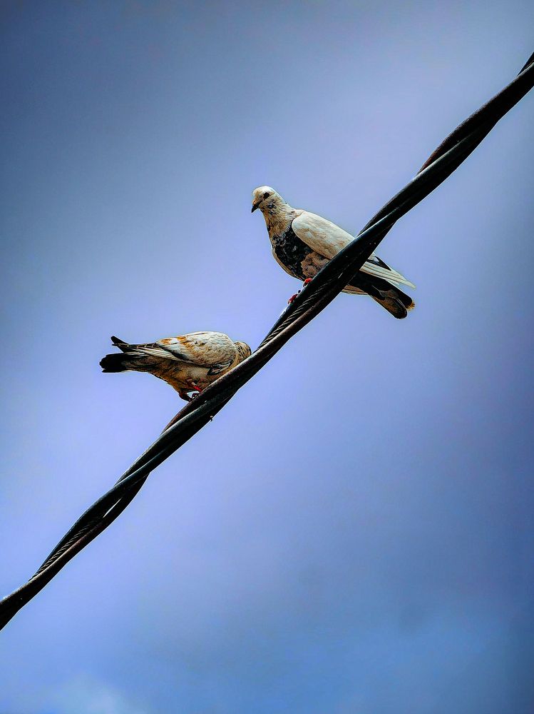 Photograph by HECTOR ANTONIO RAUCHS