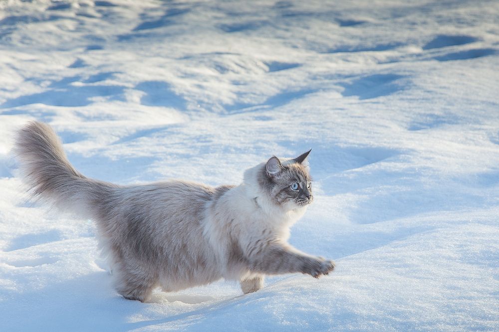 Photograph by Михаил