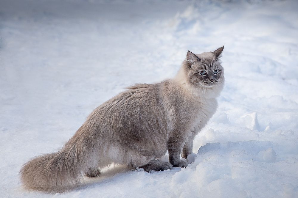 Photograph by Михаил