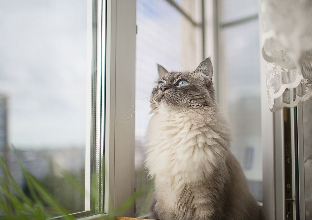 Photograph by Михаил