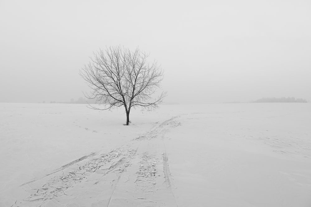 Photograph by Юрий Гау