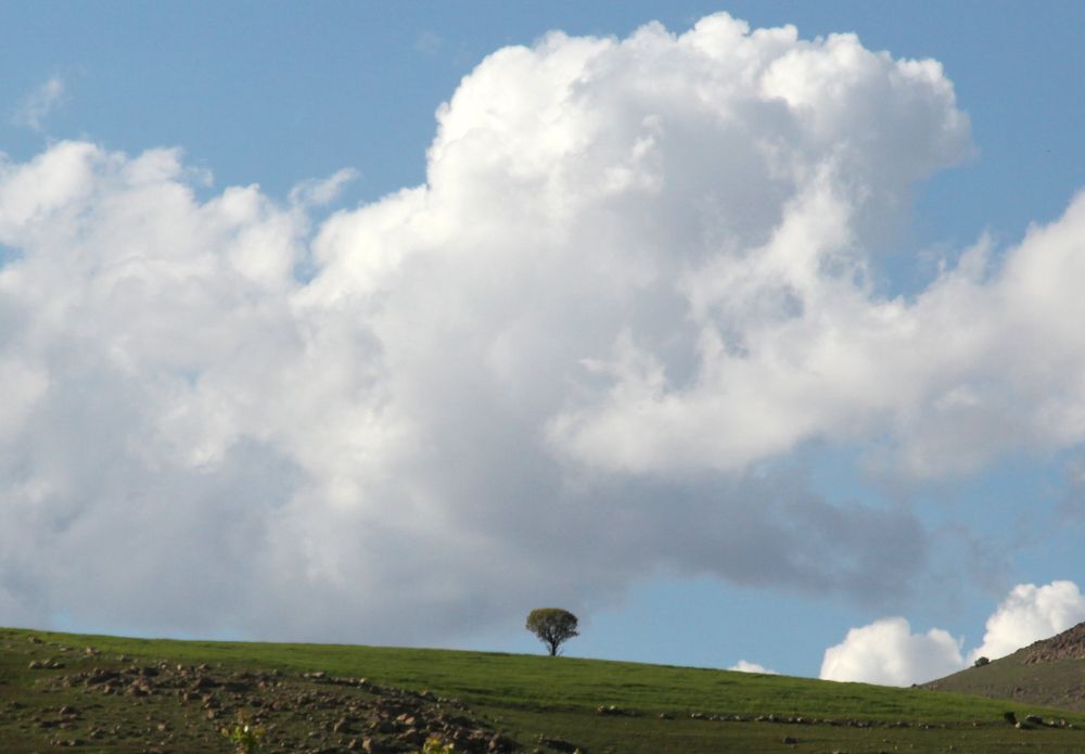 Фотография автора Mojtaba Chenari