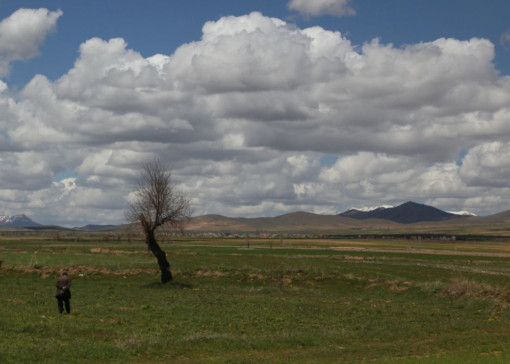 Фотография автора Mojtaba Chenari