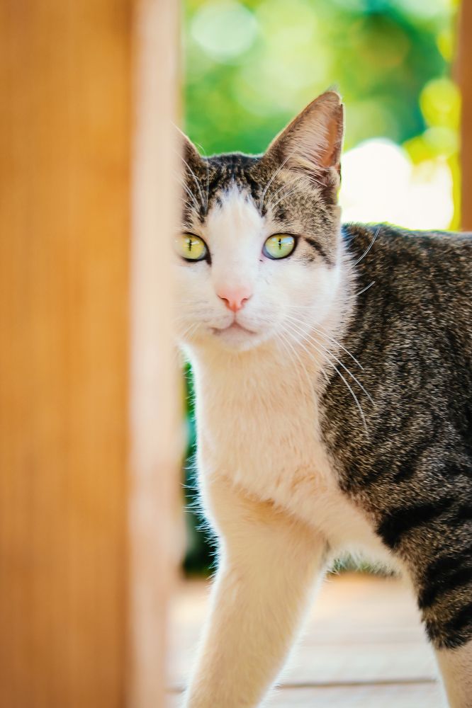 Photograph by Châu Minh Nguyễn