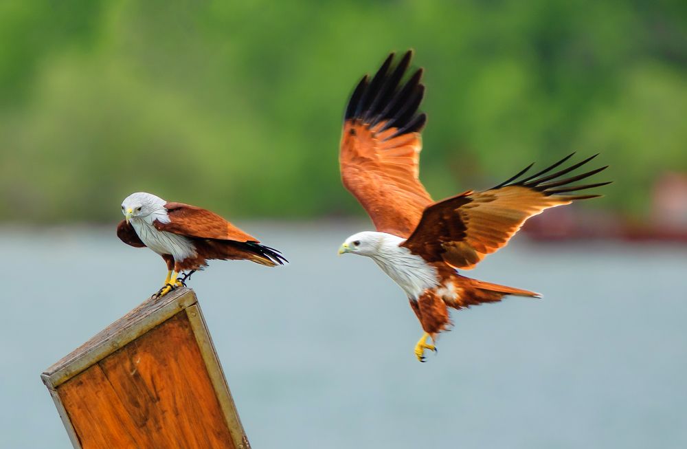 Photograph by Sin shing Lim