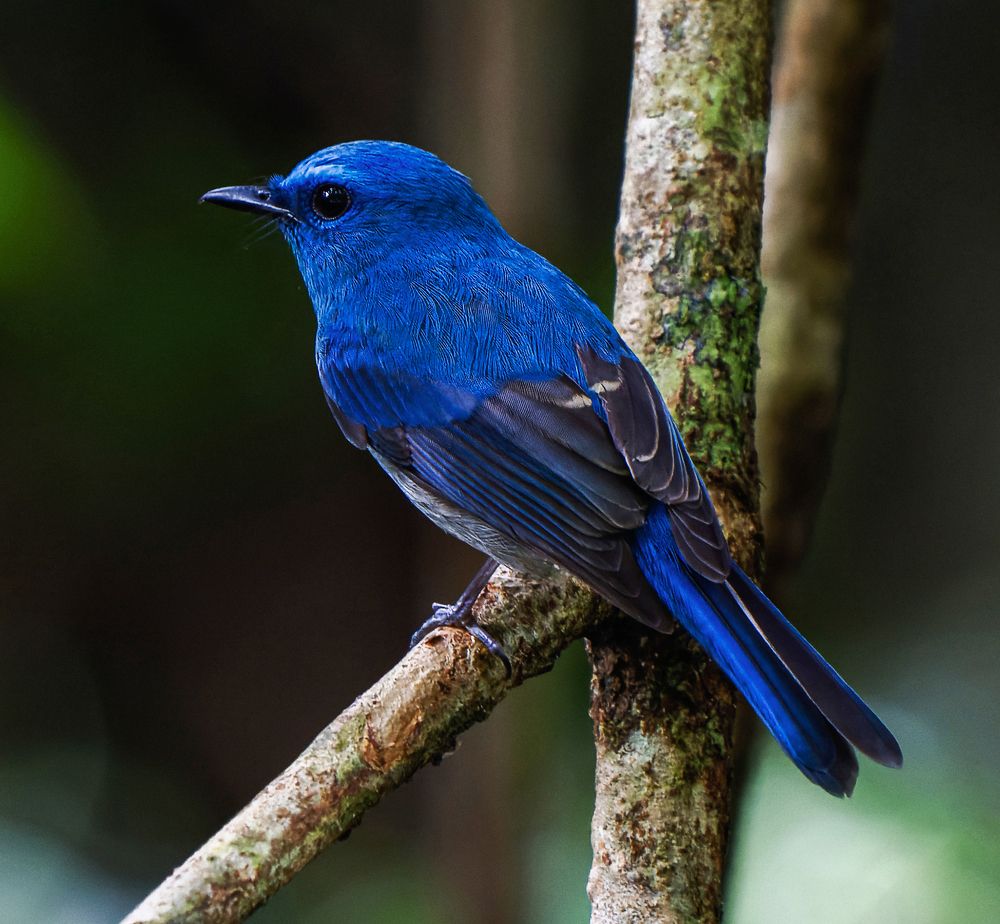 Photograph by Sin shing Lim