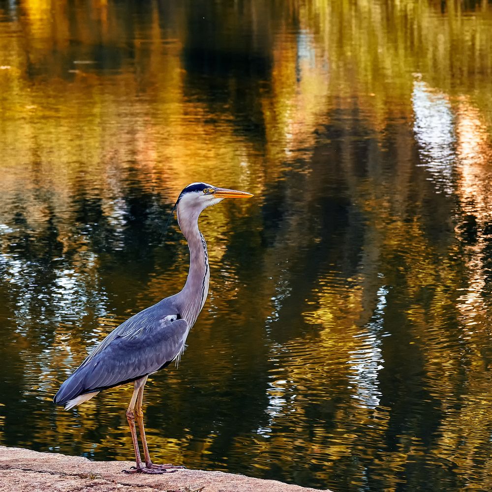 Photograph by Borsan Claudiu Valentin