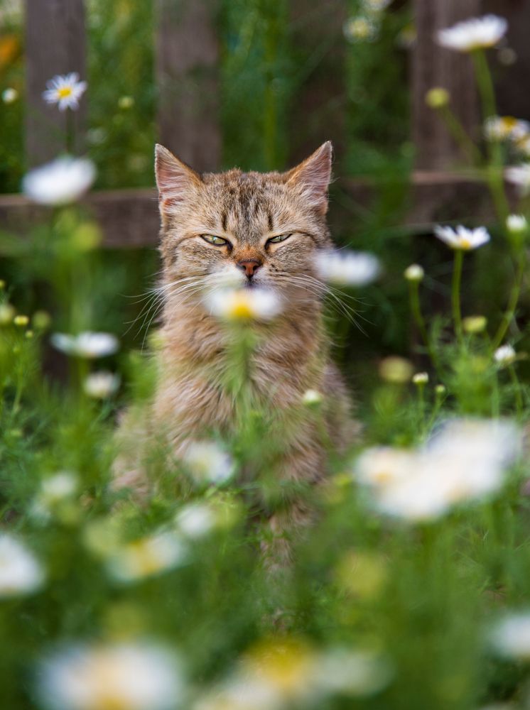 Photograph by Галина Патрушева